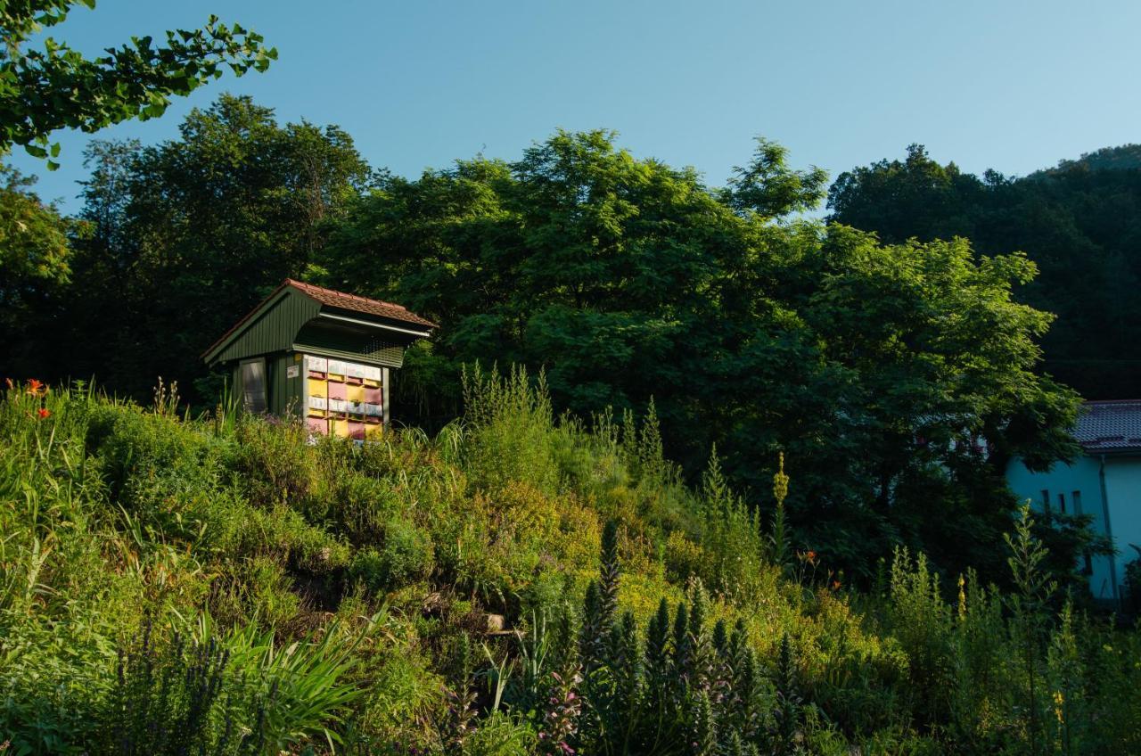 With Private Saunas & Wellness Gobi *